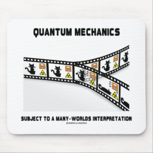 Quantum Werktuigkundigen de Interpretatie van Vele Muismat