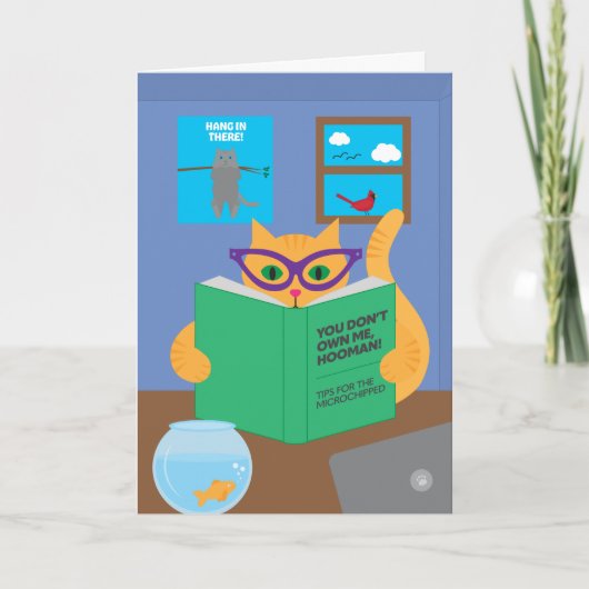 Quarantine Cat Wenskaart Kaart (Voorkant)