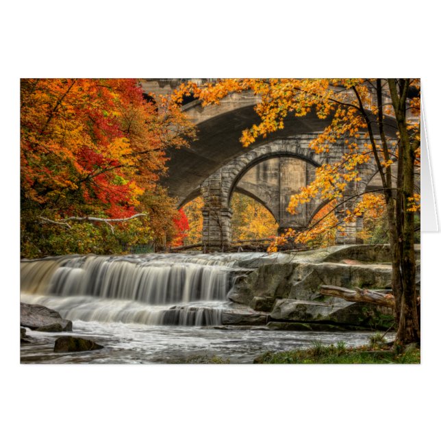 Quarry Rcok Herfsten (Voorkant Horizontaal)