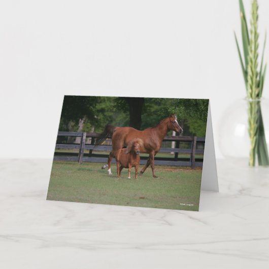 Quarter Horse and Miniature Samen Kaart (Voorkant)