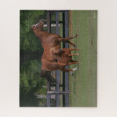 Quarter Horse and Miniature Samen Legpuzzel (Verticaal)