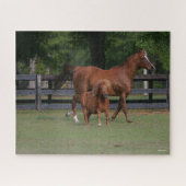 Quarter Horse and Miniature Samen Legpuzzel (Horizontaal)