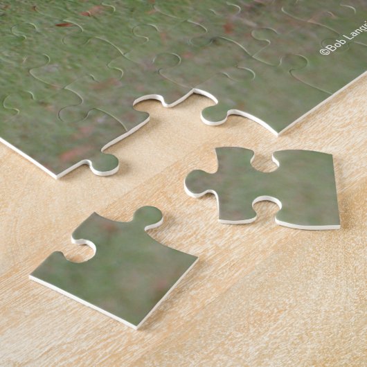 Quarter Horse and Miniature Samen Legpuzzel (Zijkant)