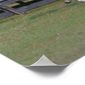 Quarter Horse and Miniature Samen Poster (Hoek)