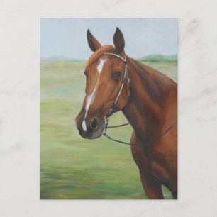 Quarter Horse Animal Art Briefkaart
