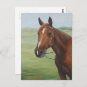 Quarter Horse Animal Art Briefkaart (Voorkant / Achterkant)