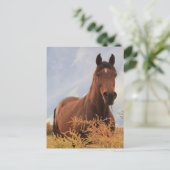 Quarter Horse Briefkaart (Staand voorkant)