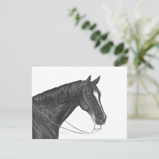 Quarter Horse Briefkaart (Staand voorkant)