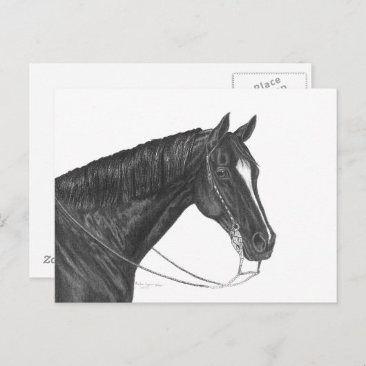 Quarter Horse Briefkaart (Voorkant / Achterkant)