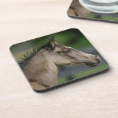 Quarter Horse Foal Headshot Bier Onderzetter (Linkerzijde)