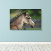 Quarter Horse Foal Headshot Canvas Afdruk (Insitu (Houten vloer))