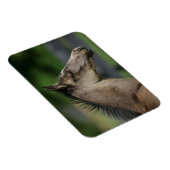 Quarter Horse Foal Headshot Magneet (Rechterzijde)