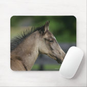 Quarter Horse Foal Headshot Muismat (Met muis)