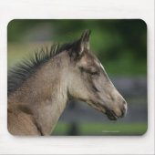 Quarter Horse Foal Headshot Muismat (Voorkant)