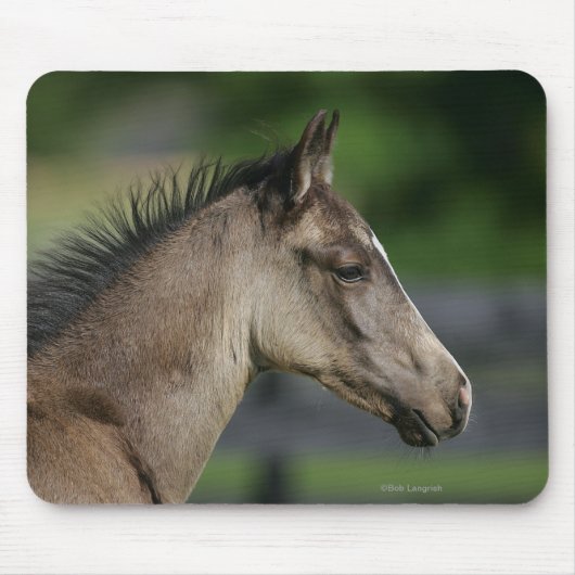 Quarter Horse Foal Headshot Muismat (Voorkant)
