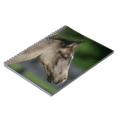 Quarter Horse Foal Headshot Notitieboek (Linkerzijde)