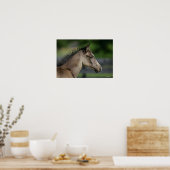 Quarter Horse Foal Headshot Poster (Keuken)