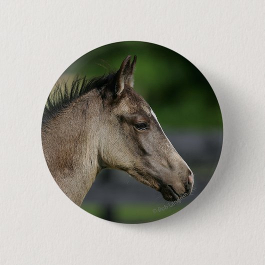 Quarter Horse Foal Headshot Ronde Button 5,7 Cm (Voorkant)