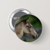 Quarter Horse Foal Headshot Ronde Button 5,7 Cm (Voorkant /achterkant)