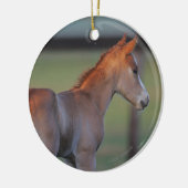 Quarter Horse Foal Keramisch Ornament (Links)