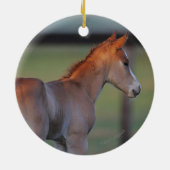 Quarter Horse Foal Keramisch Ornament (Achterkant)