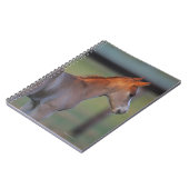 Quarter Horse Foal Notitieboek (Linkerzijde)