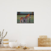 Quarter Horse Foal Poster (Keuken)