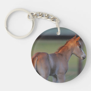 Quarter Horse Foal Sleutelhanger