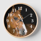 Quarter Horse Foto Bruin Wit Genummerd (Voorkant)