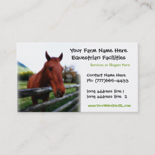 Quarter Horse Foto van Equestrian Services Visitekaartje