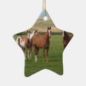 Quarter Horse Herd Ornament (Rechts)