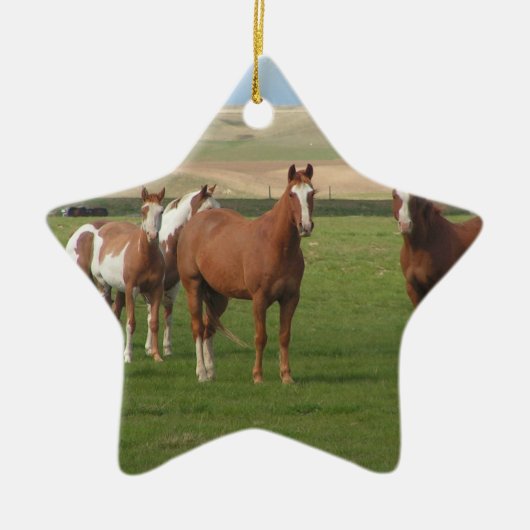 Quarter Horse Herd Ornament (Voorkant)