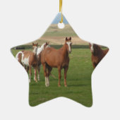 Quarter Horse Herd Ornament (Achterkant)