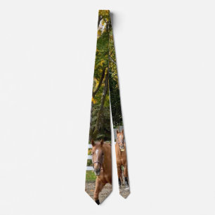 Quarter Horse Heren Das