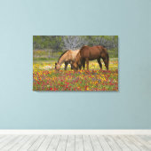 Quarter Horse in het veld van wilde bloemen nabij Canvas Afdruk (Insitu (Houten vloer))