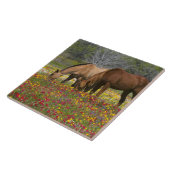 Quarter Horse in het veld van wilde bloemen nabij  Tegeltje (Zijkant)