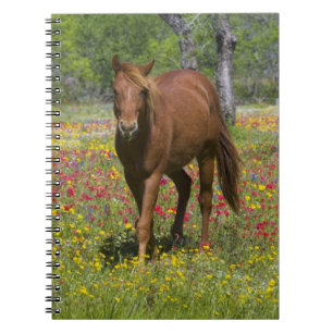 Quarter Horse in veld met wilde bloemen Notitieboek