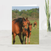 Quarter Horse Mare and Foal Standing Kaart (Voorkant)