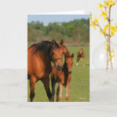 Quarter Horse Mare and Foal Standing Kaart (Gele Bloem)