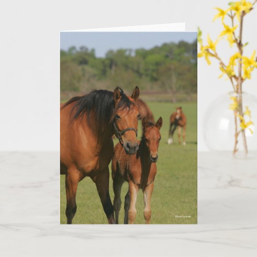 Quarter Horse Mare and Foal Standing Kaart (Gele Bloem)