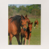 Quarter Horse Mare and Foal Standing Legpuzzel (Verticaal)