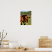 Quarter Horse Mare and Foal Standing Poster (Keuken)