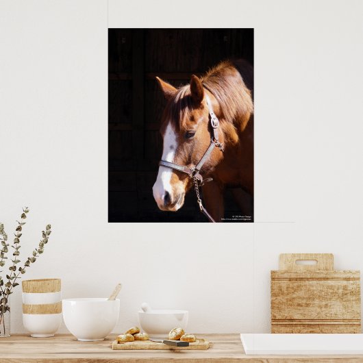 Quarter Horse Mare Large Print (Keuken)