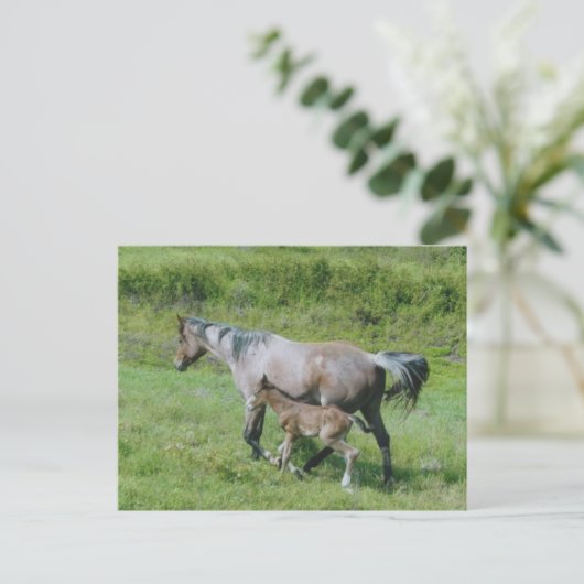 Quarter Horse Mare met schuim aan zij Briefkaart (Staand voorkant)