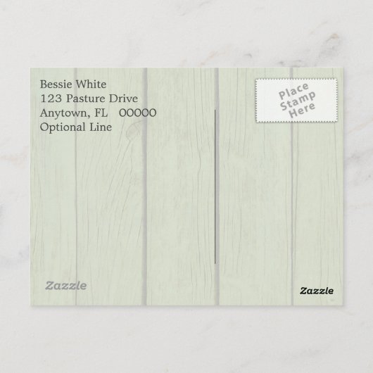 Quarter Horse Mare met schuim aan zij Briefkaart (Achterkant)