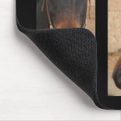 Quarter Horse Mousepad Muismat (Hoek)