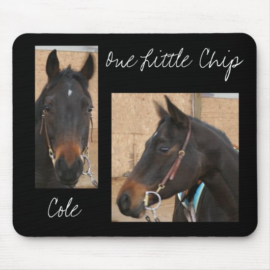 Quarter Horse Mousepad Muismat (Voorkant)
