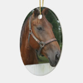 Quarter Horse Photo Ornament (Links)