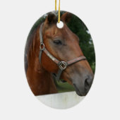 Quarter Horse Photo Ornament (Achterkant)