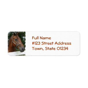 Quarter Horse Photo Return Label